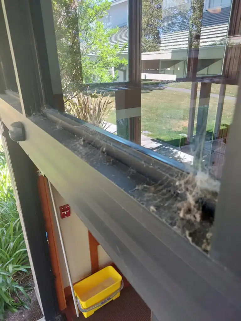Dirty window track and frame before cleaning, with a yellow bucket on the floor