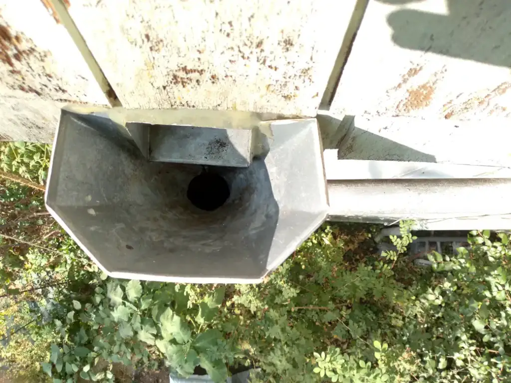 Looking down into a gutter outlet where it drops into the downspout, with shrubs below