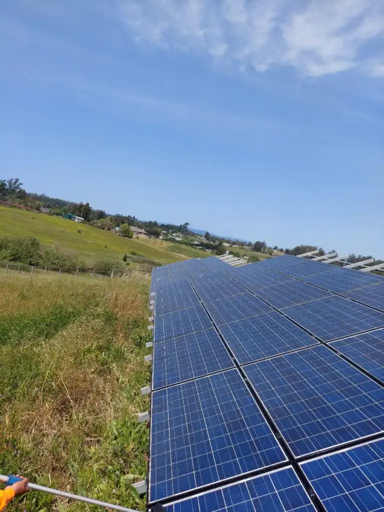 Long ground-mounted solar array in a grassy field