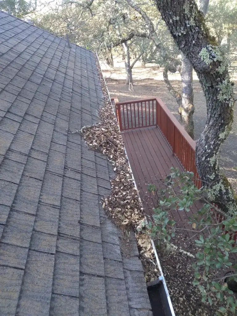 Gutter clogged with oak leaves along a shingle roof above a wooden deck