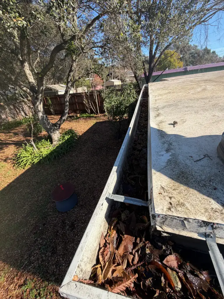 Gutter packed with dry leaves at the edge of a low-slope roof, seen from above