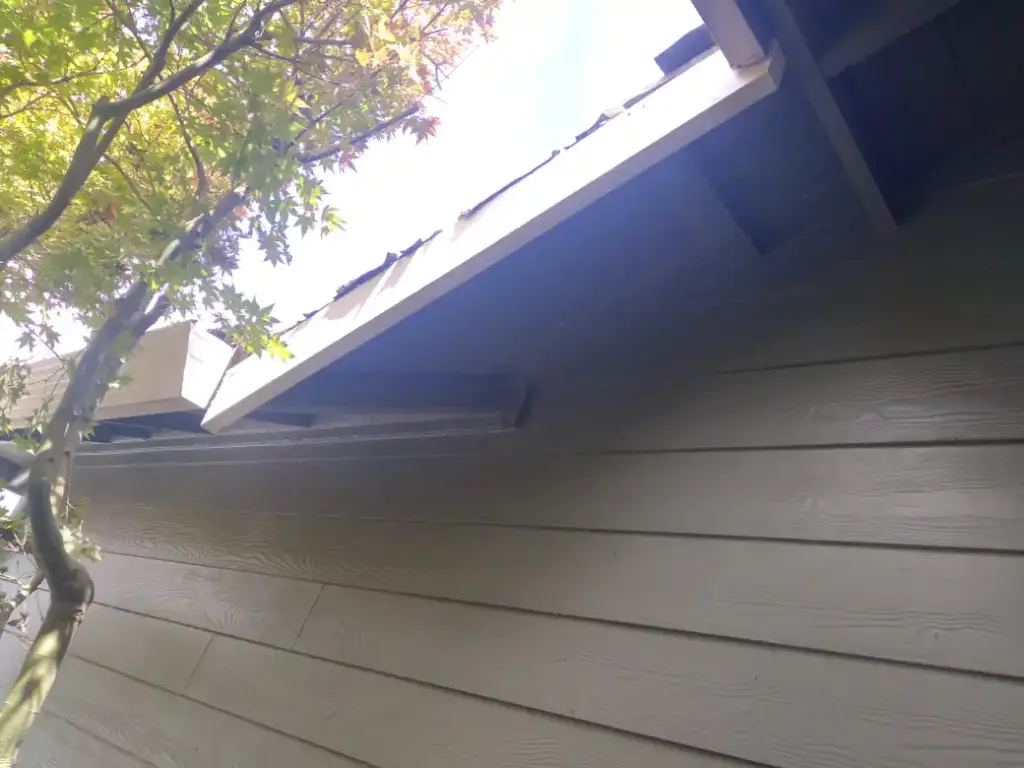 Underside of a gutter and fascia board above painted siding