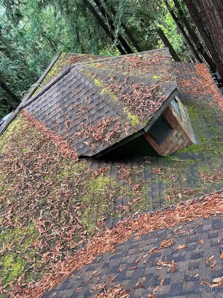 The same dormer roof before cleaning, covered with redwood needles, leaves and moss
