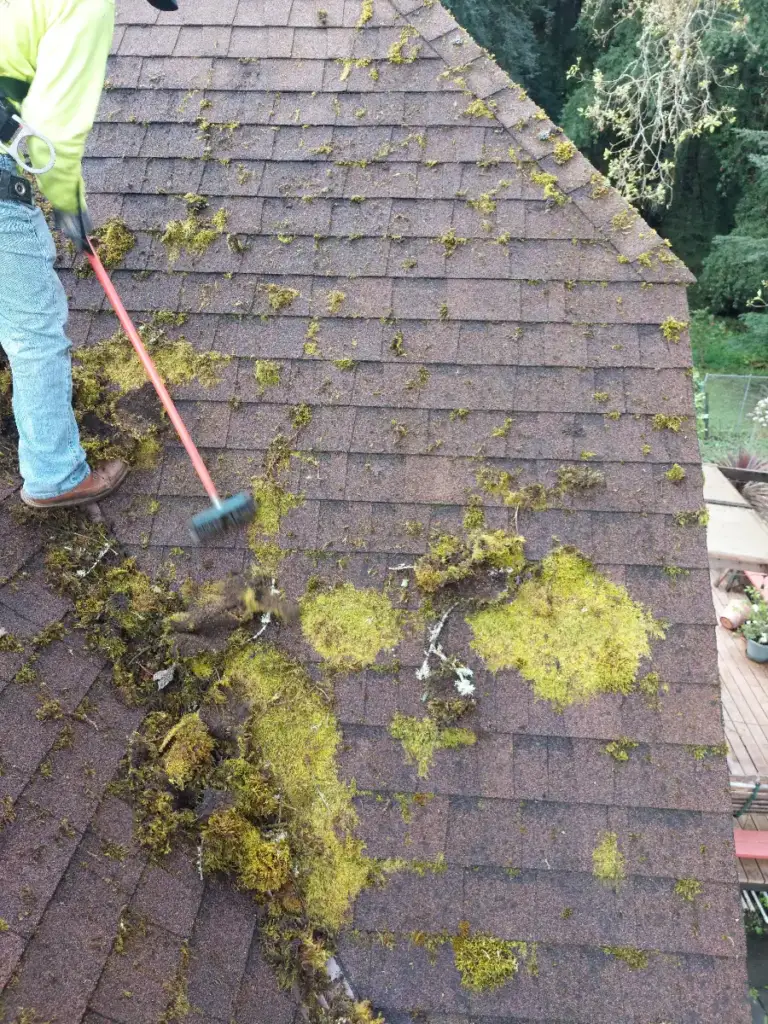 Clumps of green moss scraped loose on an asphalt shingle roof, with a worker's boots and brush at the edge of the frame