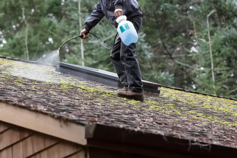 Worker standing on a moss-covered roof spraying a treatment from a hand pump sprayer