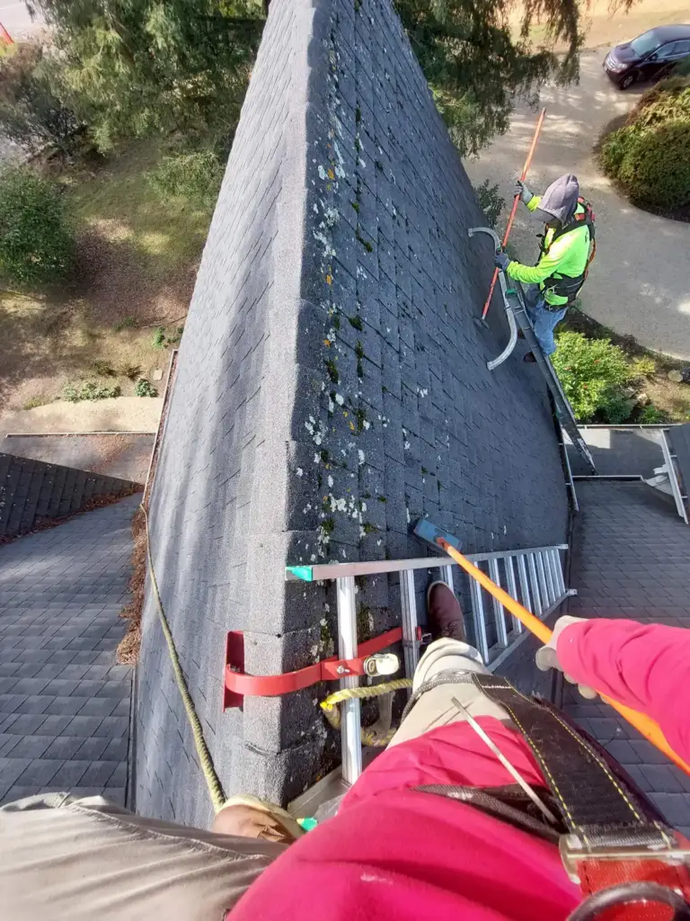 Looking down a roof edge at a Nor-Cal tech in a hi-vis shirt on an extension ladder, working along the gutter line